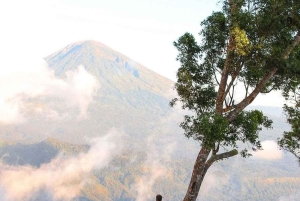 Bali: East Bali Private Tour with Driver and guide