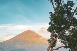 Bali: East Bali Private Tour with Driver and guide