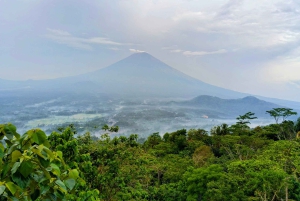 Bali: tour privato di Bali Est con il tempio di Lempuyang