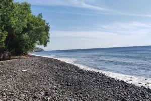 Bali: East Bali Tour With Flexible Itinerary Options