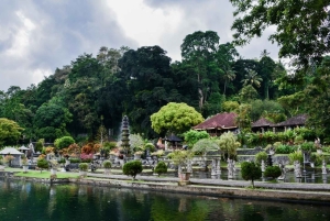Bali: East Bali Tour With Flexible Itinerary Options