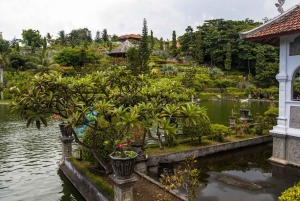 Bali: East Bali Tour With Flexible Itinerary Options