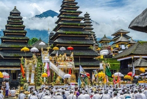 Bali: East Bali Tour With Flexible Itinerary Options