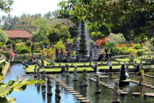 Bali: East Bali Tour With Flexible Itinerary Options