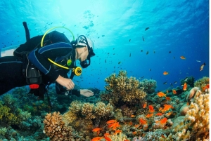 Bali: East Bali Tour with Lempuyang Temple & Virgin Beach