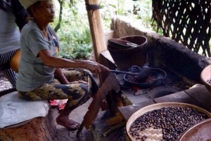 Bali: east bali tour with private driver