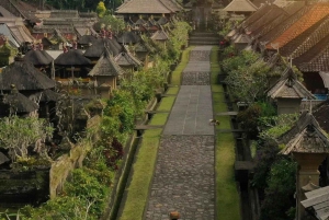 バリ東部とプラ・ブサキ寺院ツアー