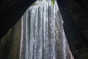 バリ東部とプラ・ブサキ寺院ツアー