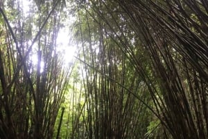 Bali : Eastern Bali and Pura Besakih Temple Tour