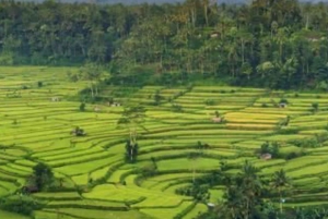 Bali : Eastern Bali and Pura Besakih Temple Tour