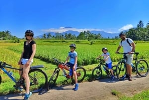 Bali Easy Countryside Cycling with Rice Fields & Local Life