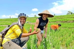 Bali Easy Countryside Cycling with Rice Fields & Local Life