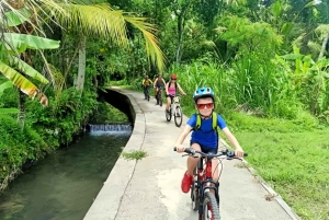 Bali Easy Countryside Cycling with Rice Fields & Local Life