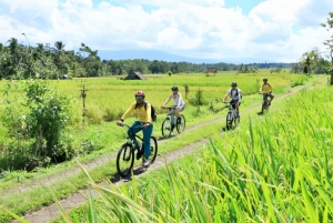 Bali Easy Countryside Cycling with Rice Fields & Local Life