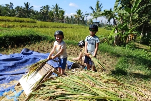 Bali Easy Countryside Cycling with Rice Fields & Local Life