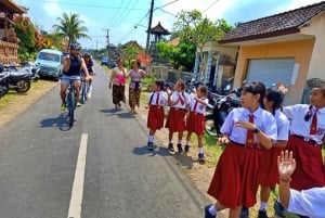 Bali Easy Countryside Cycling with Rice Fields & Local Life