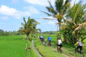 Bali Easy Countryside Cycling with Rice Fields & Local Life