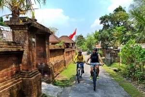Bali Easy Countryside Cycling with Rice Fields & Local Life