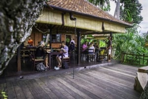 Excursão particular 'Coma, reze e ame' em Bali