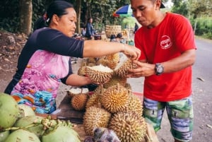 Bali: ‘Eat Street’ Local Food Tour