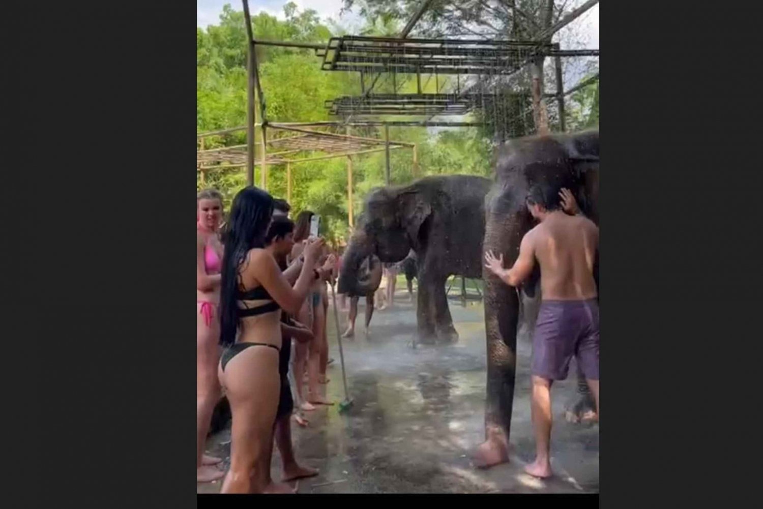 Bali: Elephant Mud Fun Activity