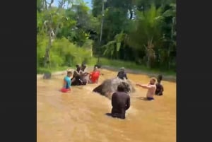 Bali: Elephant Mud Fun Activity