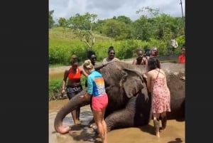 Bali: Elephant Mud Fun Activity