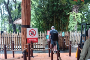 Bali: Elephant Mud Fun Activity
