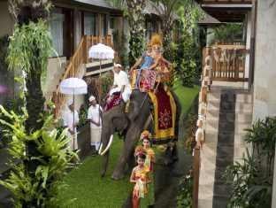 Bali Elephant Safari Park Lodge