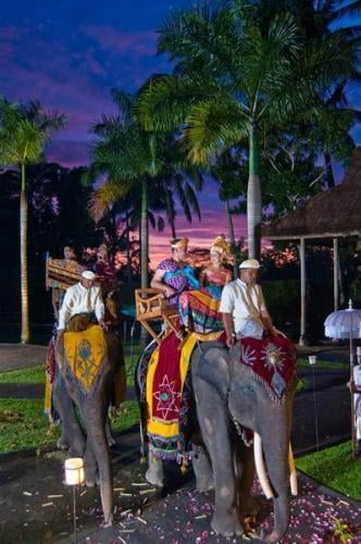 Bali Elephant Safari Park Lodge