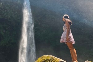 Bali Escapade: Waterfall Wonders and Rice Terrace Trek