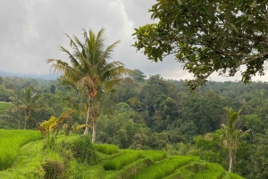Bali Escapade: Waterfall Wonders and Rice Terrace Trek