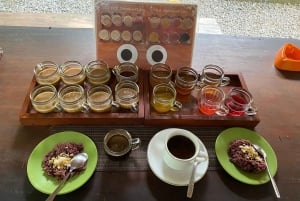 Bali Escapade: Waterfall Wonders and Rice Terrace Trek