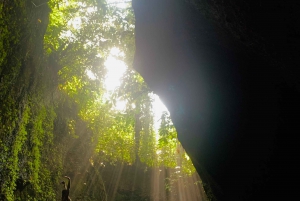 Bali Escapade: Waterfall Wonders and Rice Terrace Trek