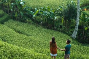 Bali Evening Escape: Rice Terraces & Dinner by Fireflies