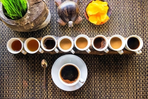 Bali Evening Escape: Rice Terraces & Dinner by Fireflies