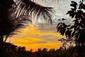 Bali Evening Escape: Rice Terraces & Dinner by Fireflies