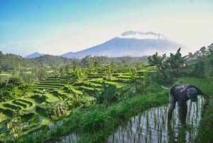 Bali Excursions: Besakih Temple, Sidemen, Virgin Beach