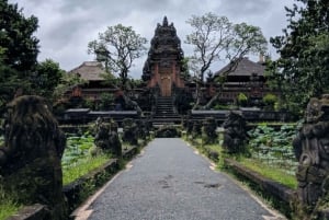Bali: Experience Culture Tour and coffee testing