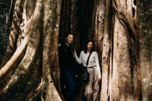 Bali: Tutustu Pohjois-Baliin mukautetulla matkapäivällä