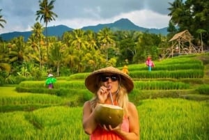 Bali: Esplora il nord di Bali: tour privato personalizzato di un giorno