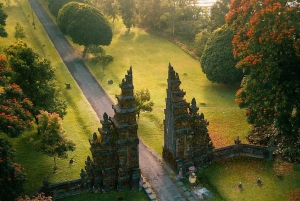 Bali: Tutustu Pohjois-Baliin mukautetulla matkapäivällä