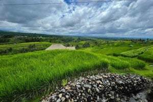 Bali: Esplora il nord di Bali: tour privato personalizzato di un giorno