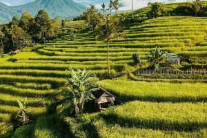 Bali: Esplora il nord di Bali: tour privato personalizzato di un giorno