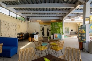 Bali: 'Explorador' encontra golfinhos com chá da tarde