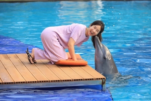 Bali: 'Explorer' Meet Dolphins with High Tea