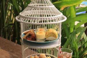 Bali: 'Explorer' Meet Dolphins with High Tea