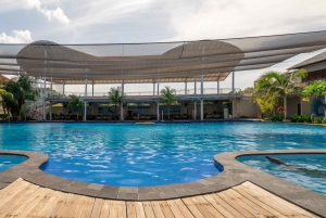 Bali: 'Explorer' Meet Dolphins with High Tea