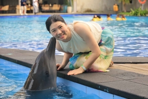 Bali: 'Explorer' Meet Dolphins with High Tea