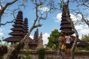 Bali Explorer: Skræddersyede eventyr med privatchauffør